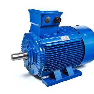 DM MOTOR 30KW 1500Rpm 415V 50Hz IP55