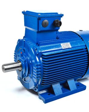 DM MOTOR 30KW 1500Rpm 415V 50Hz IP55